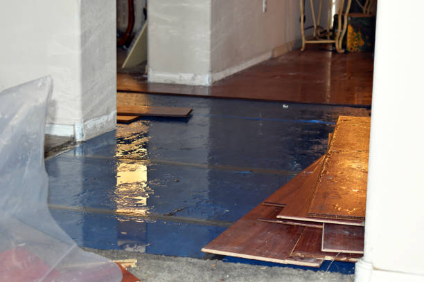 Professional Basement Flooding technician working in Aubrey, TX